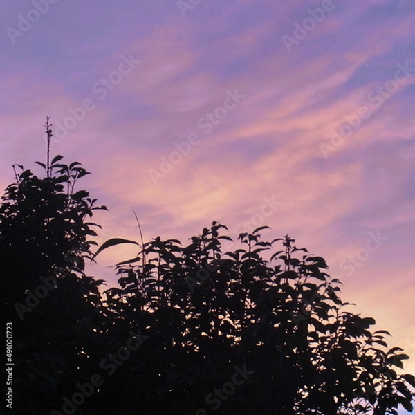 Fototapeta 夕焼け空