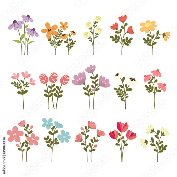 Fototapeta Spring Flower Collection Vector Illustration
