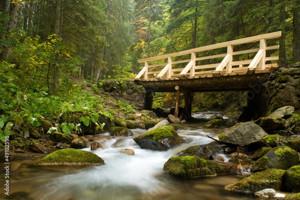 Obraz Potok Olczyski