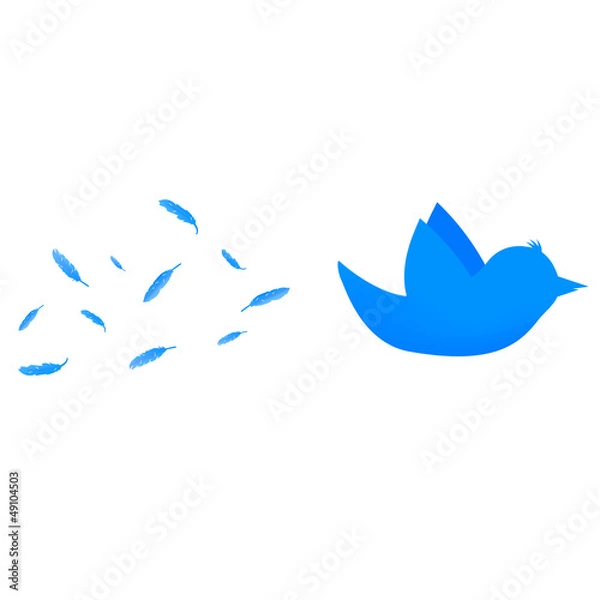 Fototapeta Flying blue bird