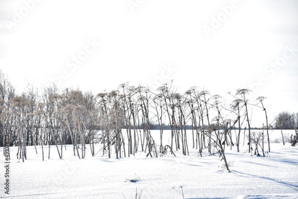 Obraz пасхальная весенняя композиция из солнышка и яйцо и вербы