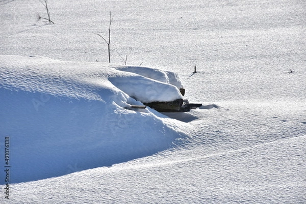 Obraz пасхальная весенняя композиция из солнышка и яйцо и вербы