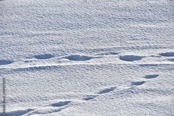 Obraz пасхальная весенняя композиция из солнышка и яйцо и вербы