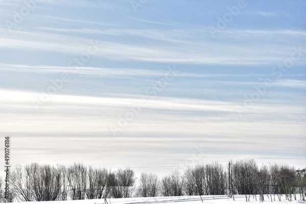Obraz пасхальная весенняя композиция из солнышка и яйцо и вербы