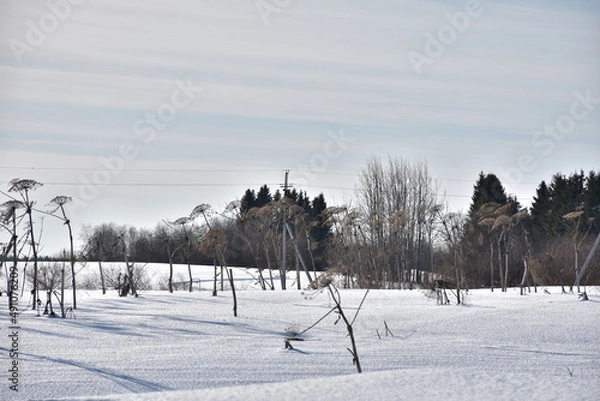Obraz пасхальная весенняя композиция из солнышка и яйцо и вербы