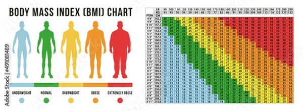 Obraz Body Masse index chart, vector illustration