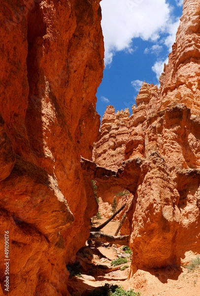 Obraz Table crossing