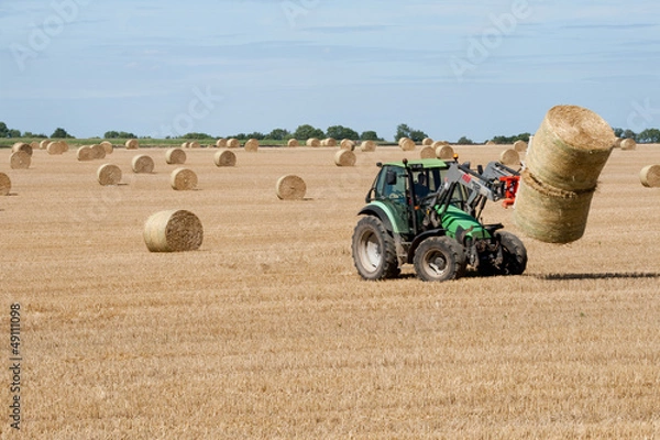 Obraz Campo di grano - Normandia
