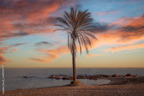 Obraz sunset on the beach