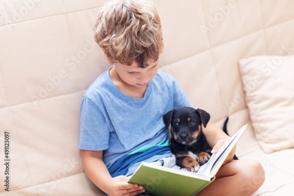 Fototapeta A boy with a little dog is reading a book