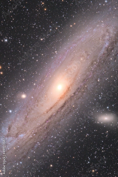 Fototapeta アンドロメダ銀河