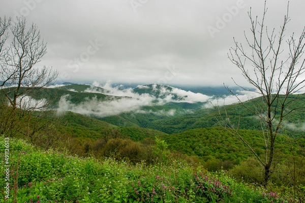 Obraz clouds in the mountains