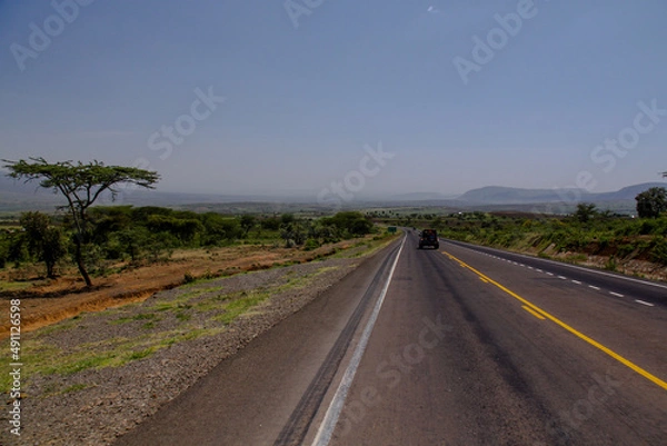 Obraz road in the savannah