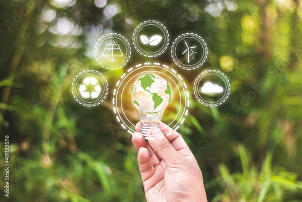 Fototapeta Environment and alternative energy concept.Light bulbs with symbols showing renewable energy and the environment.