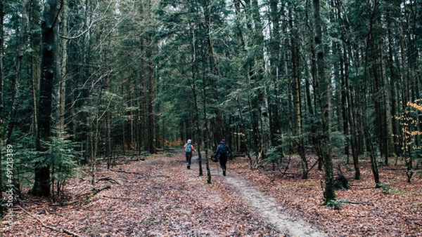 Obraz People in the forest