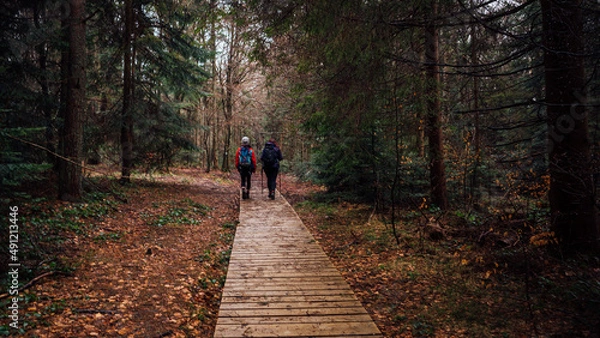 Obraz People on the journey in the forest