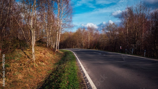 Fototapeta Landscape with empty road