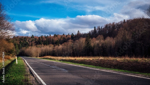 Obraz Landscape with empty road