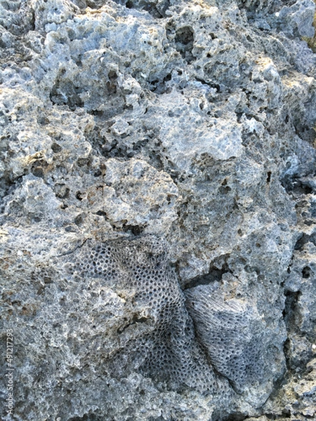 Fototapeta 波照間、南東岸、高那崎