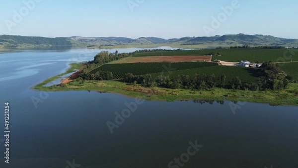 Fototapeta Coffee Plantation Brazilian Coffee, lake beautiful nature