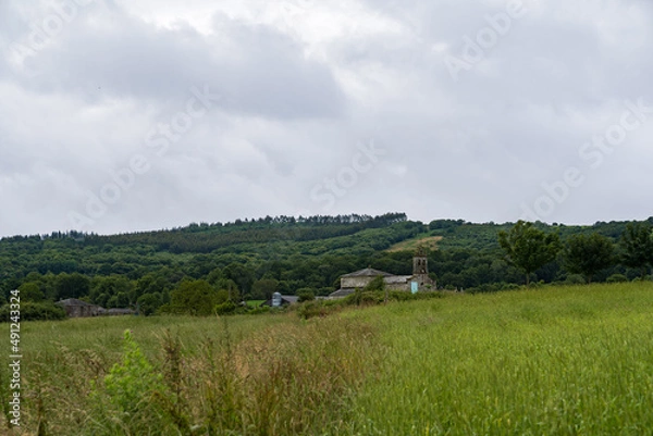 Obraz カミーノ　サンティアゴへの道