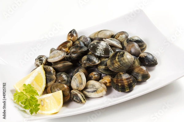 Obraz vongole veraci