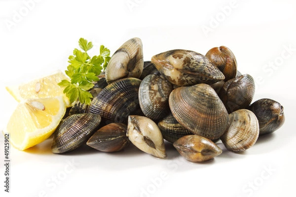 Obraz vongole veraci