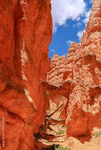 Obraz bridge between pink cliffs