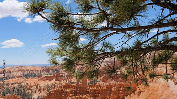 Obraz tree with a red mountain  backdrop