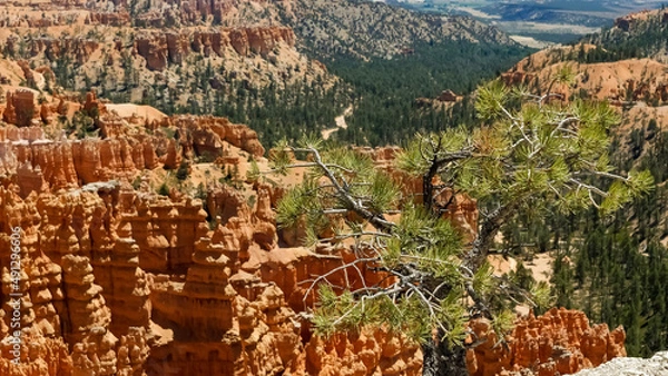 Obraz Beautiful scenery