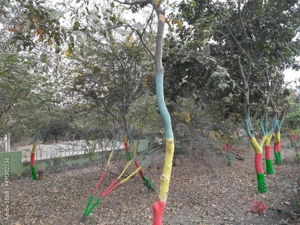 Obraz colored tree in the garden