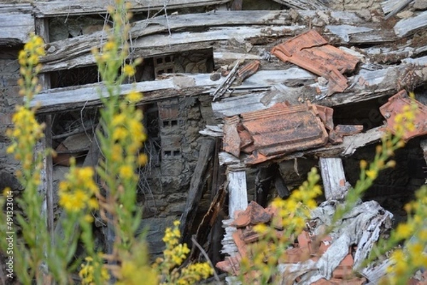 Fototapeta Era uma casa