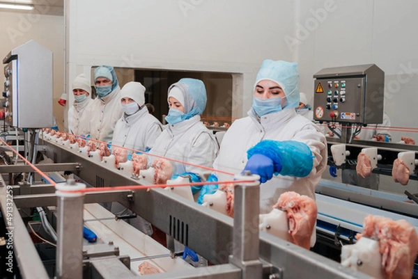 Obraz Meat processing plant.Industrial equipment at a meat factory.Modern poultry processing plant.People working at a chicken factory - stock photo.Automated production line in modern food factory.