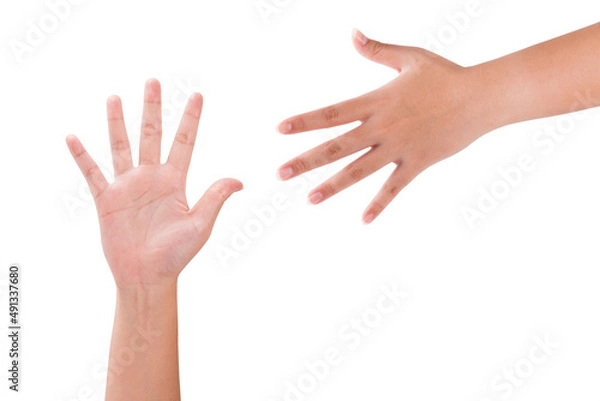 Fototapeta Hands isolated on white background.