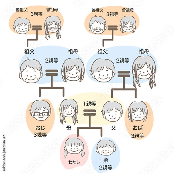 Fototapeta イラスト素材｜相続関係図 家系図の手描きイラスト パステルカラー テキストあり ３親等