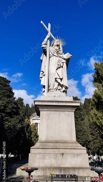 Obraz monument to peter the great