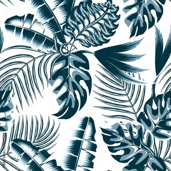 Fototapeta blue monochromatic rainforest plant drawing. tropical monstera palm leaves in vintage style. Elegant seamless botanical pattern white background. Nature ornament for textile, wallpaper, surface design