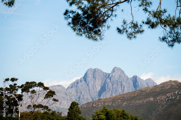 Obraz Mountain view with trees in the foreground