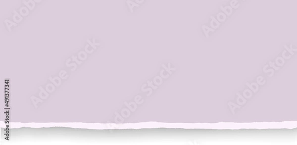 Obraz Torn lilac paper background with space for text