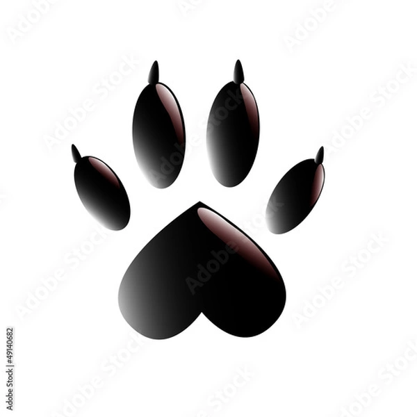 Obraz Paw with claws
