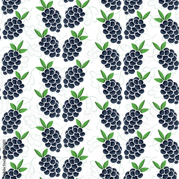 Fototapeta Vector seamless pattern with vertical blackberry columns on white foliate background; perfect for wrapping paper, invitations, posters, banners, packaging and other design.