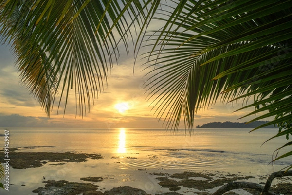Obraz Sunset with ocean and palmtrees