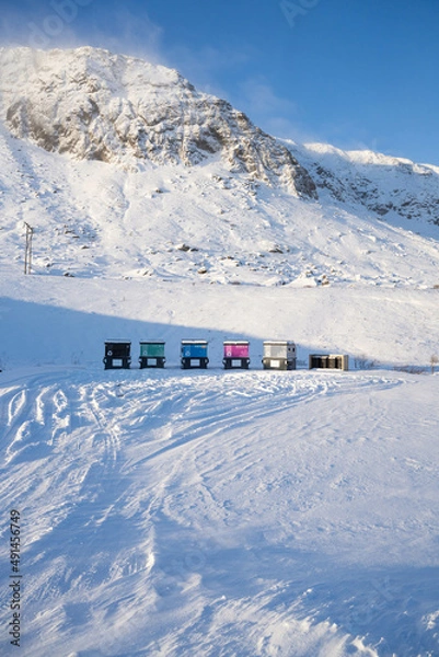Fototapeta Vertical photo of winter garbage in Iceland. Photo of waste bins surrounded by snow in the Arctic. 
