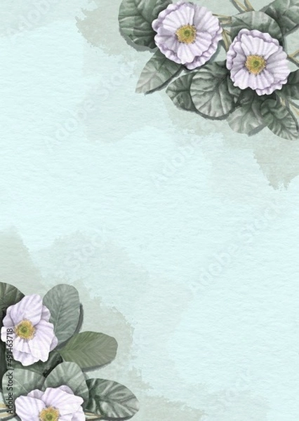Obraz flower and leaf watercolor background