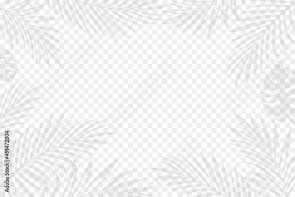 Obraz Exotic palm tree leaves on the transparent background. Editable vector illustration. EPS10.