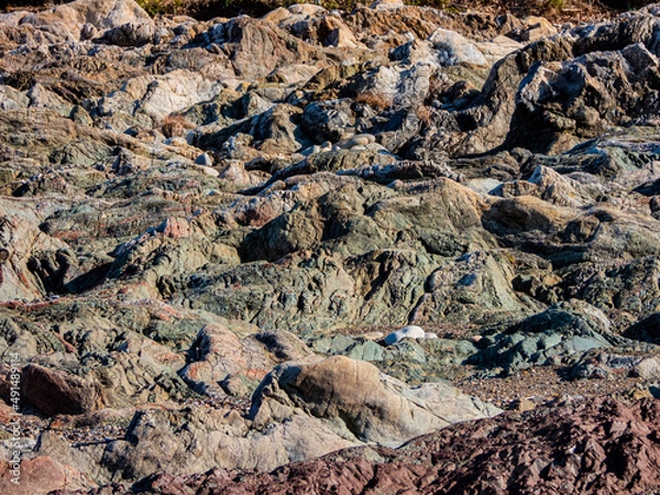 Fototapeta チャート露出地帯の河原の風景