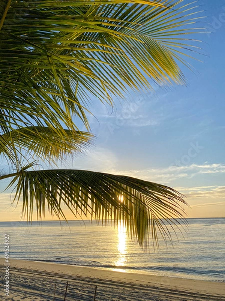 Obraz sunset on the beach