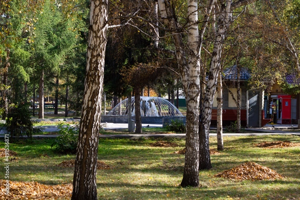 Obraz person in a park