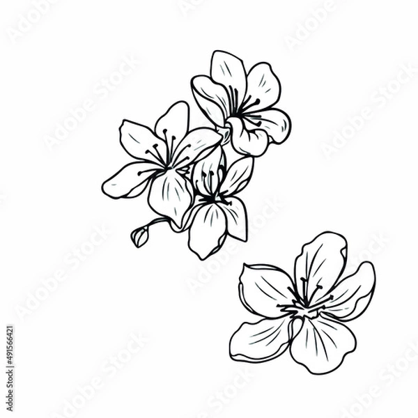 Fototapeta Vector children's design on a white isolated background for banners postcards and stickers spring holiday