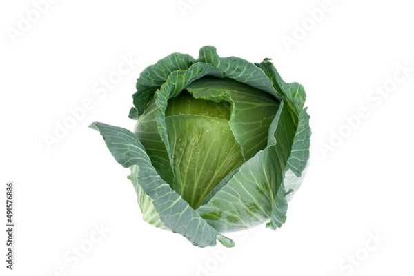 Fototapeta Cabbage vegetables isolated on white background.